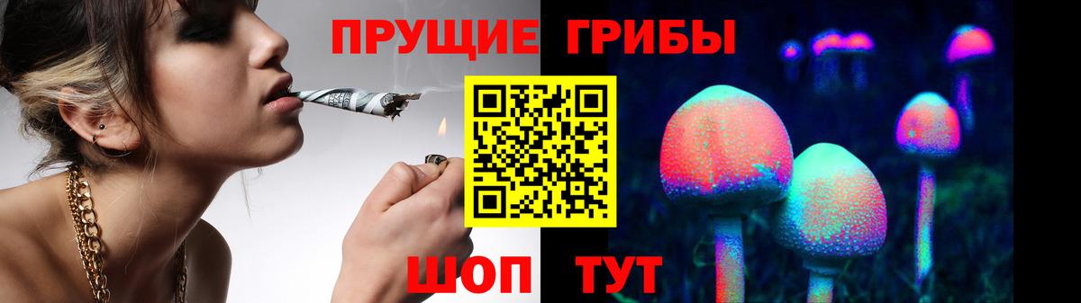 Псилоцибиновые грибы Cubensis  Вход с VPN  Псилоцибиновые грибы GOLDEN TEACHER  как найти   Кушва 